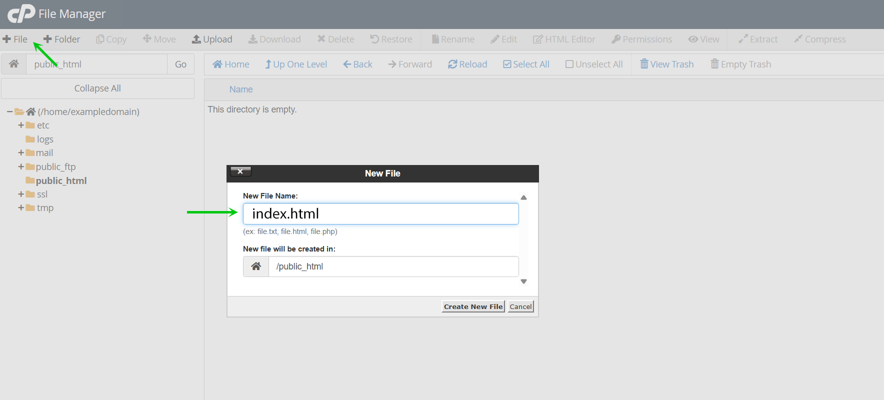 Click +File to create a new file name it index.html
