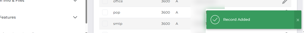 Successfully added a DNS record